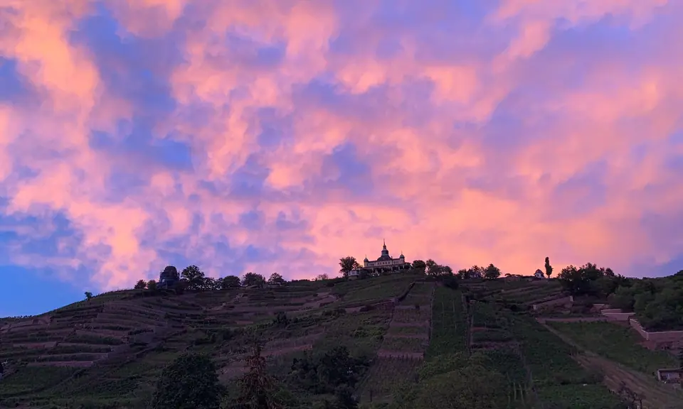 Die Weinbergterrassen am Abend, oben das Spitzhaus unter rosa leuchtenden Wolken
