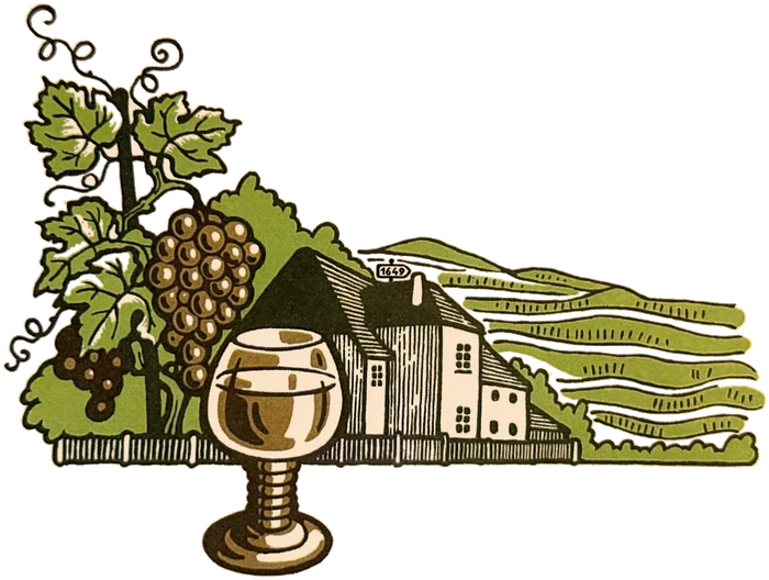 Zeichnung vom Weinetikett mit Weinrebe, Trauben, Römerglas, dem Haus mit dem Schild 1649 und den Weinbergterrassen